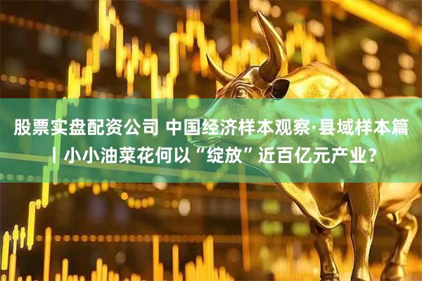 股票实盘配资公司 中国经济样本观察·县域样本篇丨小小油菜花何以“绽放”近百亿元产业？