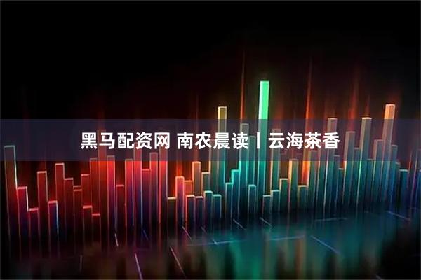 黑马配资网 南农晨读丨云海茶香