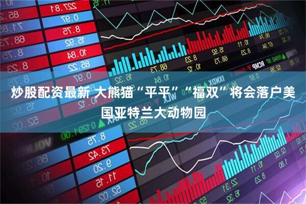 炒股配资最新 大熊猫“平平”“福双”将会落户美国亚特兰大动物园